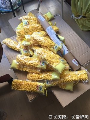 放下经验，与绘画本身玩耍