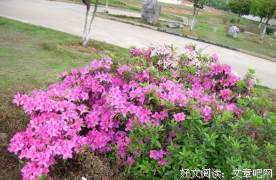 描写帅呆的经典句子