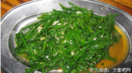 关于小胡子的语句