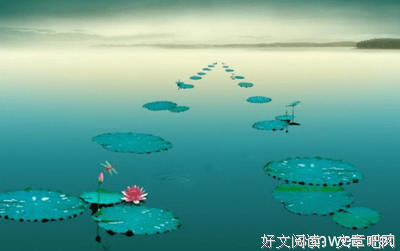 人生心么种才往经典的句子