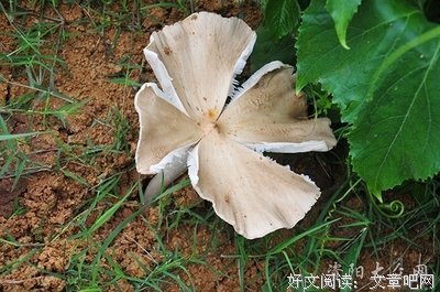 实录 | 为何年末倒霉事情多？
