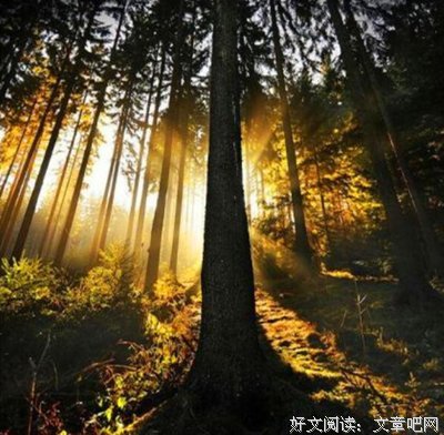 简单人生名句欣赏