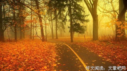 段落收集句子大全