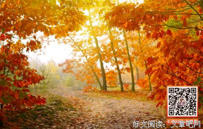  白裕慈集优美的句子