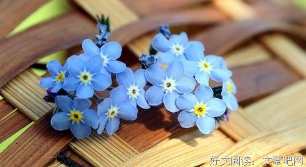哲有下点点滴滴再并忆句子