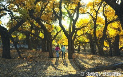 挽回前任：试探出来的“第三者”，谁的锅？