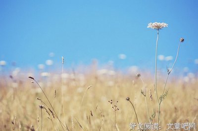 天真无邪15句经典名言