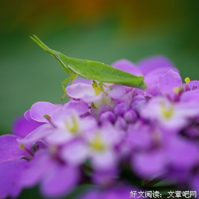 最经典的富兰克林的名句