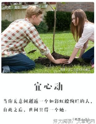 上上周分享金句回顾（下）&lt;文末附通知&gt;