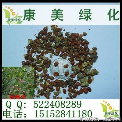 有关明开夜合名言