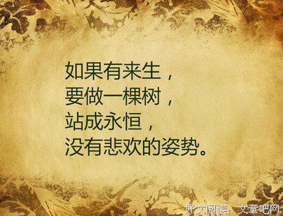 最经典的《理想说》经典语录大全
