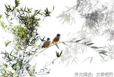 最全的《美图吧》经典语句