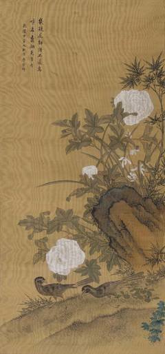 最经典的《花解语》小说句子大全