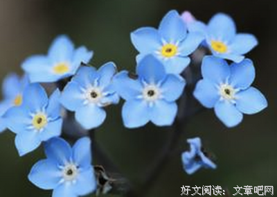 最全的《黑衣人3》经典的句子