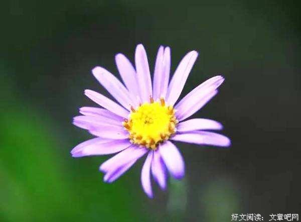 不要高估自己和任何一个人的关系 