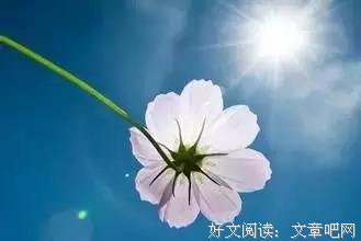 珍惜平淡相守的幸福