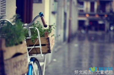 彼岸流年优美的句子