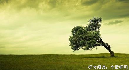关于累积的情绪的优美句子