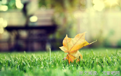 碎的之经典的句子
