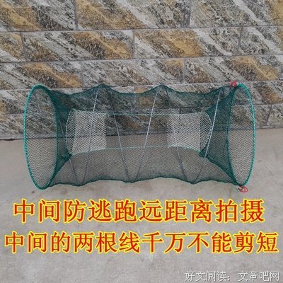 甲鱼不是龟名言大全