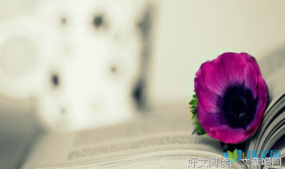 蒙古族谚语的名言名句