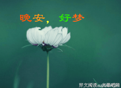 最经典的《亲爱的人》经典句子