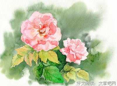 最新的《人间系列》小说书摘大全