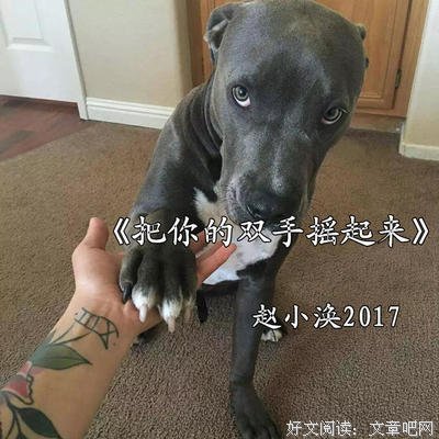 最经典的《兴趣部落》经典语句