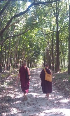 最全的《分开旅行》经典语句