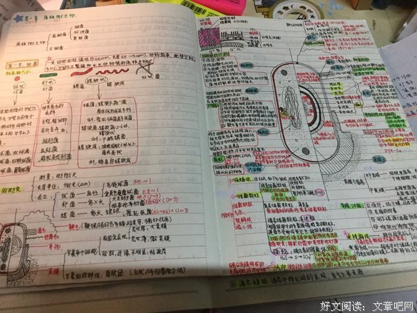 最全的《务虚笔记》经典名句