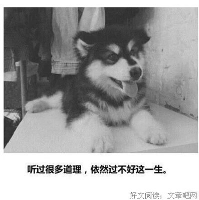最全的《后会无期》经典的句子