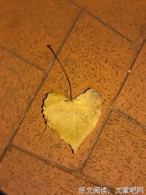 “你的朋友圈，屏蔽了最爱你的人”