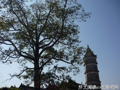 《小楼传说》小说摘抄