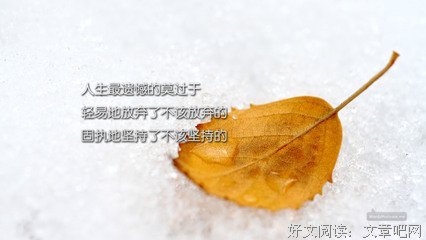 关于人生 鸡汤的优美句子