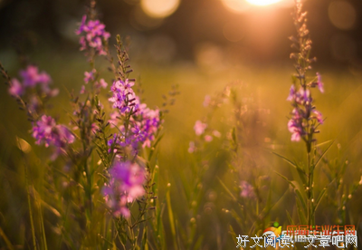 毕业经典的句子