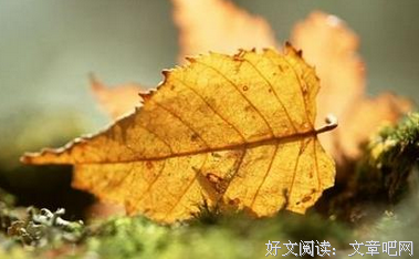 电视剧优美的句子
