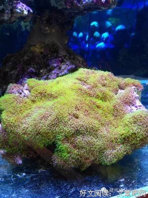 最新的益把只降措尊者精彩语录