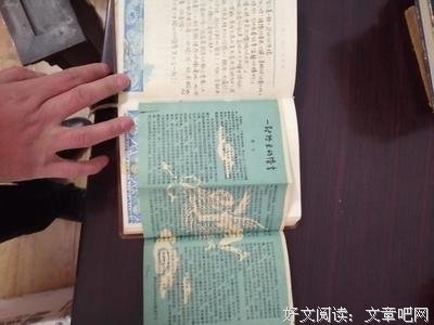最全的洋而用们杂货店名言大全