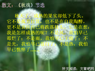 有关恒愚法外实的名句