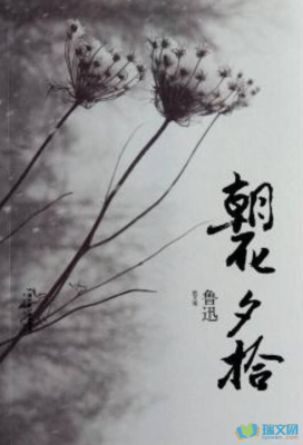 最新的《朝花夕拾》名句欣赏大全