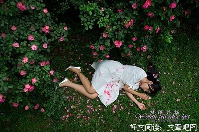 最全的《梦落芳华》经典名句
