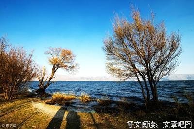 最经典的《沉香如屑》经典语录