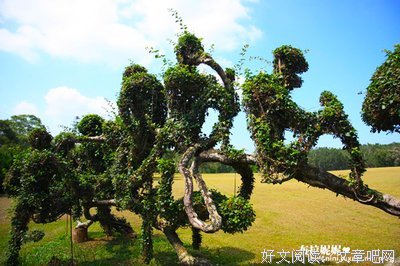 《流星花园》佳句摘抄