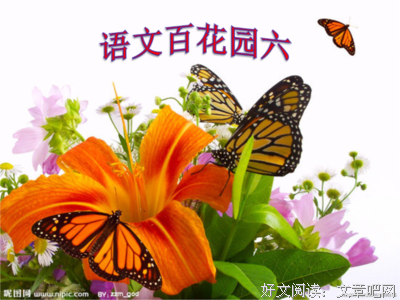 最全的《绝处逢生》小说句子
