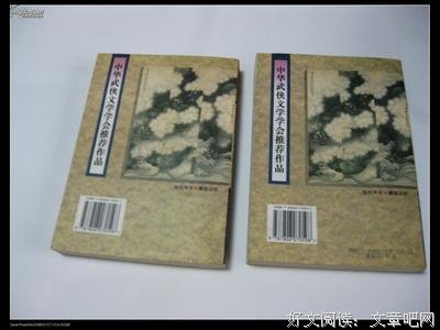 《萧十一郎》小说书摘