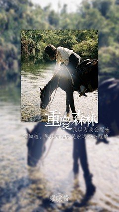 最全的《重庆森林》经典台词大全