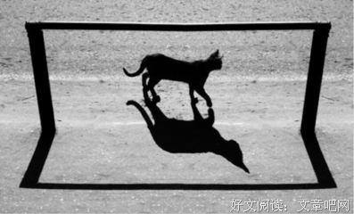 关于樊胜美的座右铭