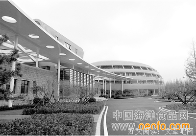 硅谷是个什么谷丨第三十一章 一面湖水