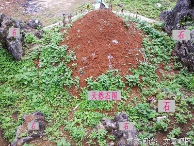 密不透风的句子