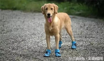 看清这四点，你就活通透了